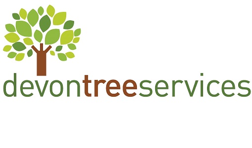 Read more about Tree surveys