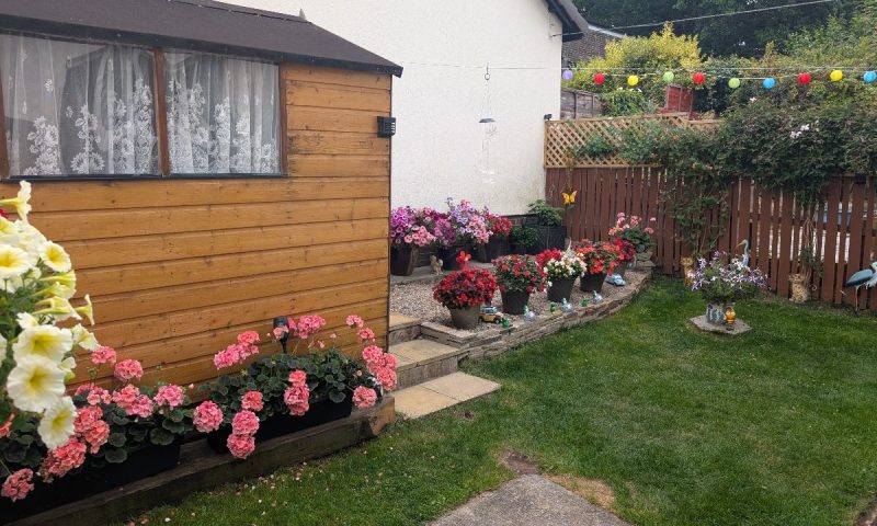Read more about Teign in Bloom: get ready to showcase your garden!